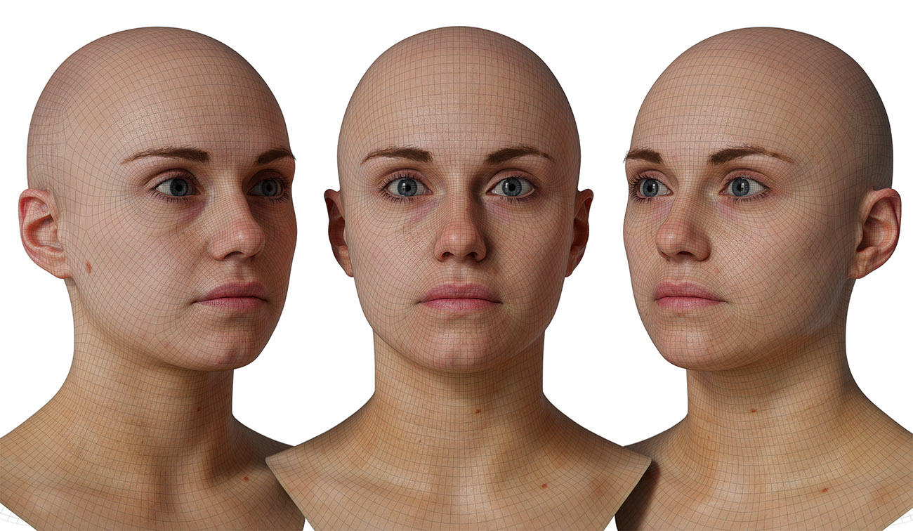 head model wireframe mesh